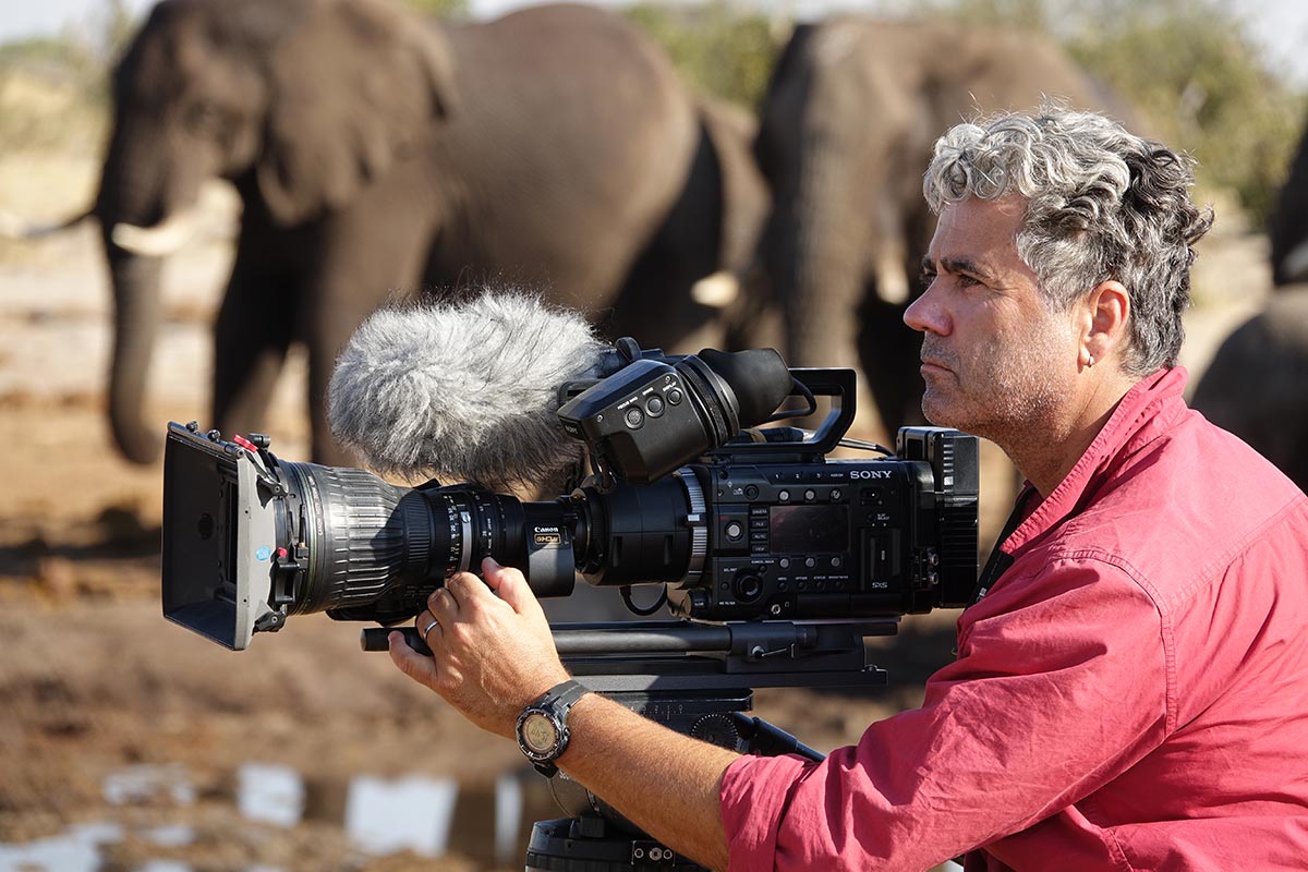 Jens-Westphalen,-Botswana,-Elephants,-Zorillafilm
