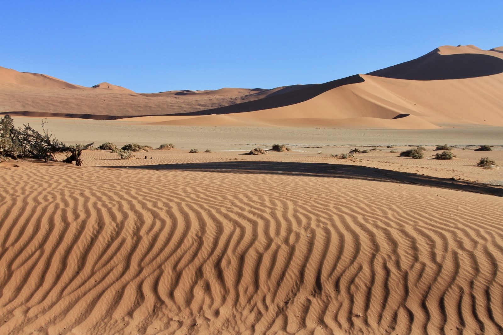 Wüstenlandschaft Namibia
