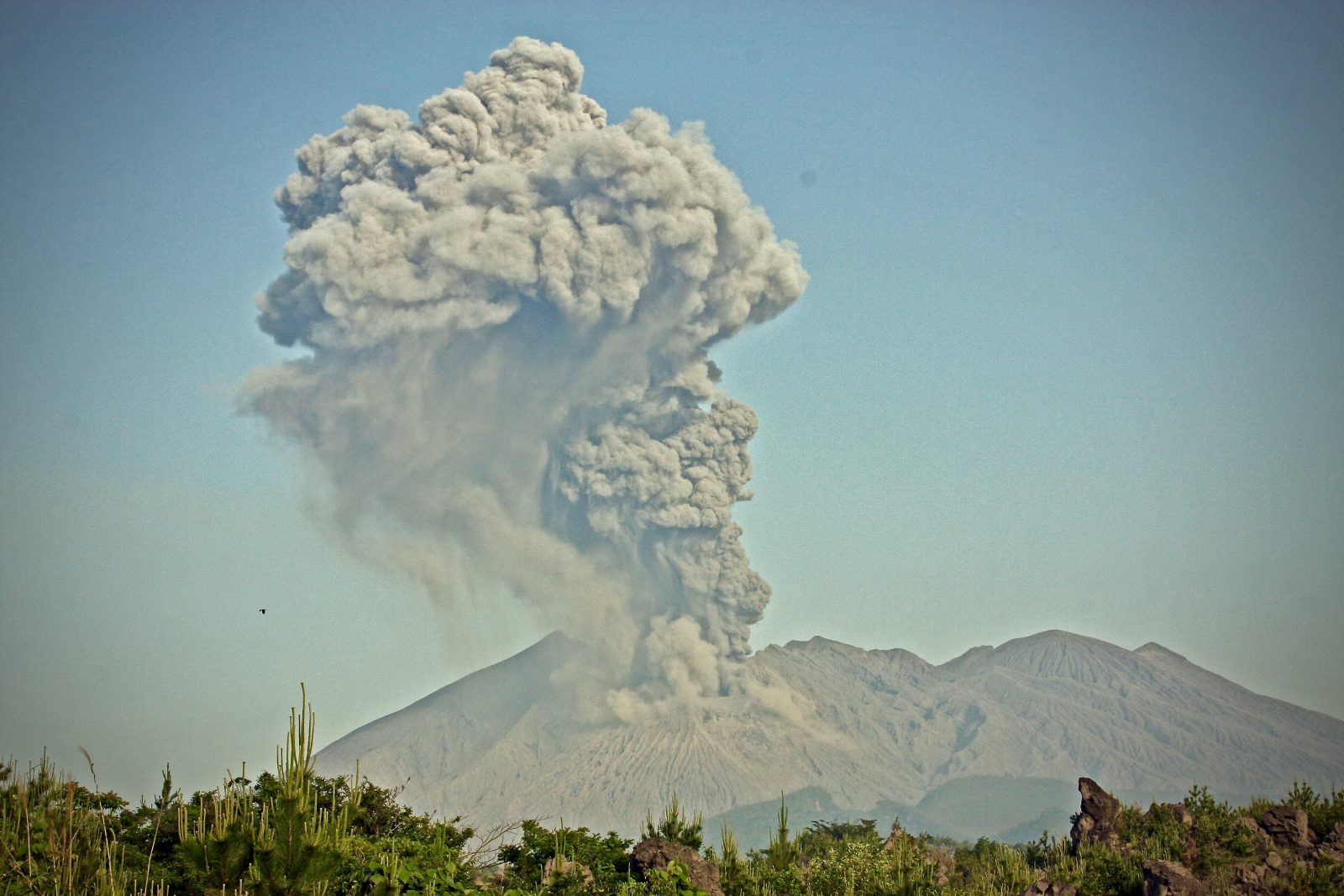 Vulkanausbruch Sakurajima Japan Zorillafilm